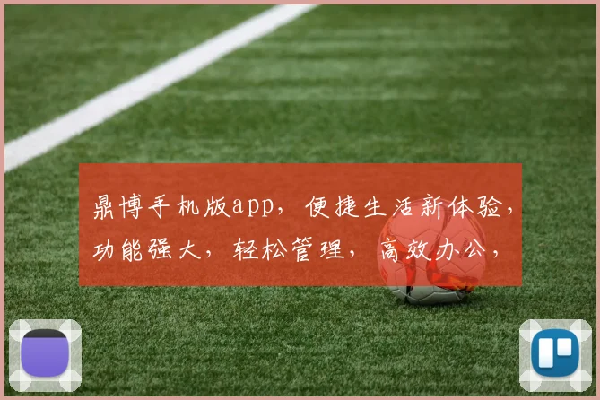 鼎博手机版app，便捷生活新体验，功能强大，轻松管理，高效办公，快来下载