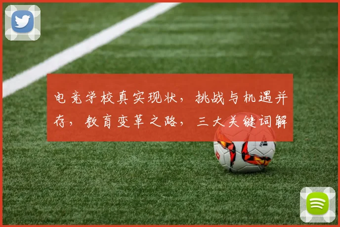 电竞学校真实现状，挑战与机遇并存，教育变革之路，三大关键词解析，深度剖析