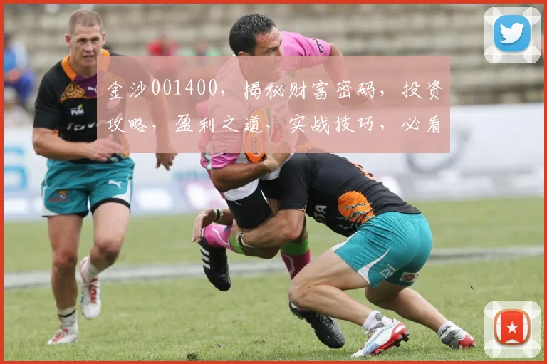 金沙001400，揭秘财富密码，投资攻略，盈利之道，实战技巧，必看攻略